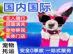 阿拉善左旗巴彦浩特航空邮寄国际宠物托运 【国